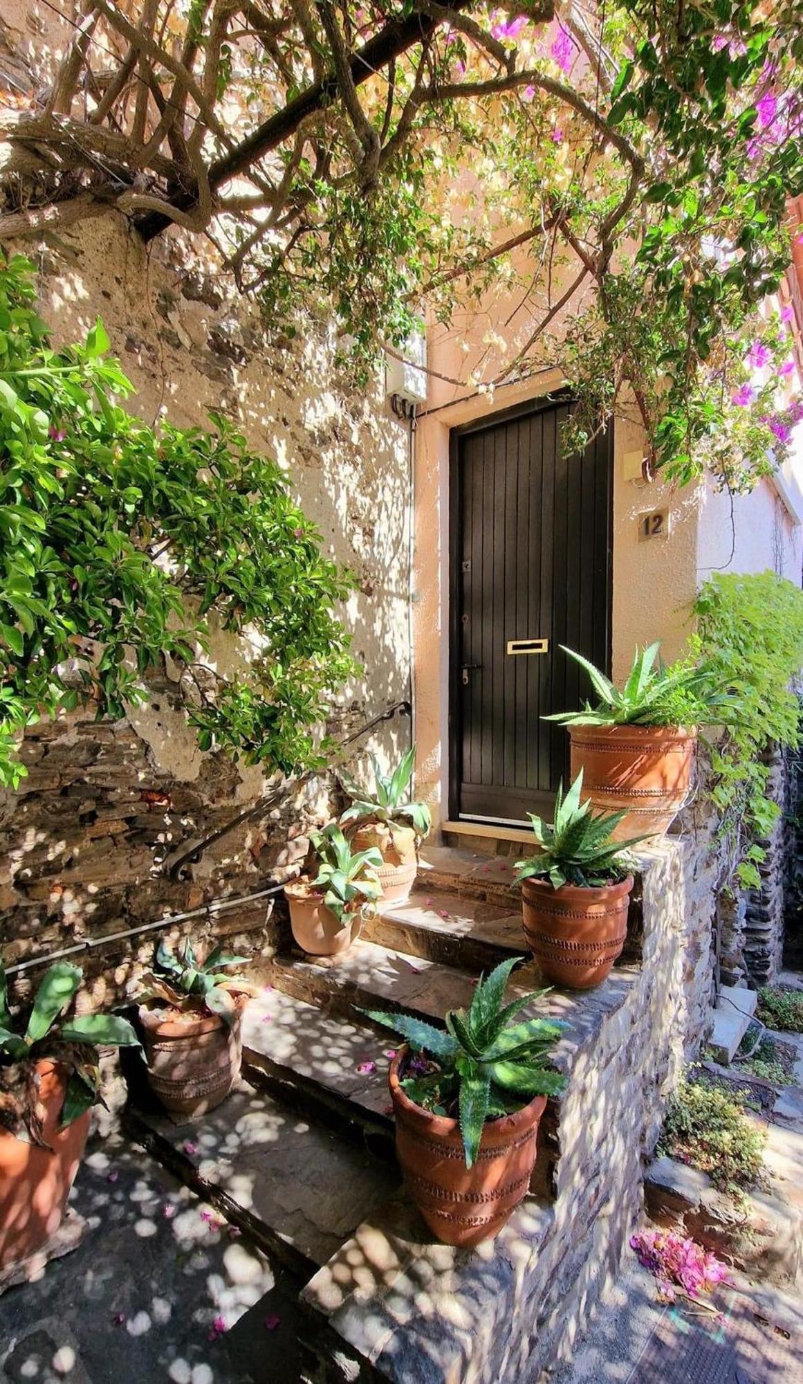 6Alz8 Appartement Pour 6 Personnes Collioure Ngoại thất bức ảnh